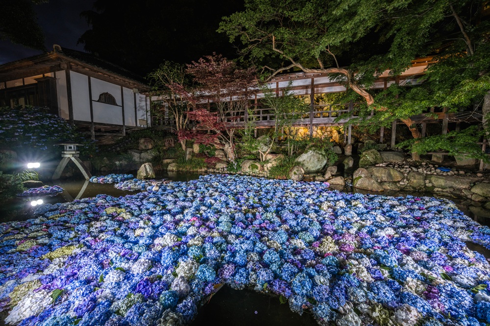 雨引観音の水中華