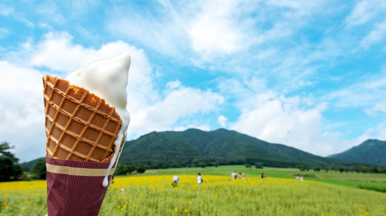 蒜山高原で乳しぼり体験など