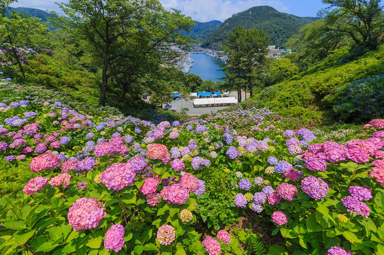 伊豆下田公園（画像提供：休暇村南伊豆）