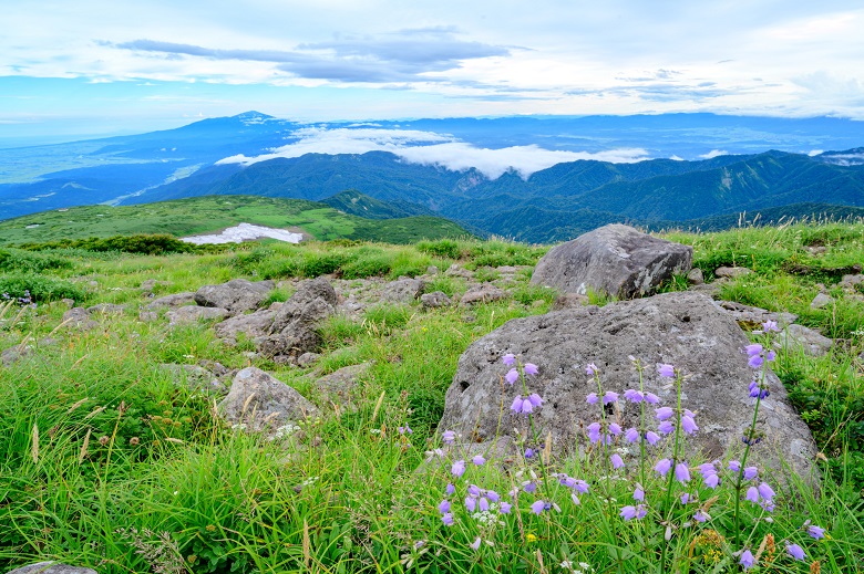 月山から鳥海山を臨む