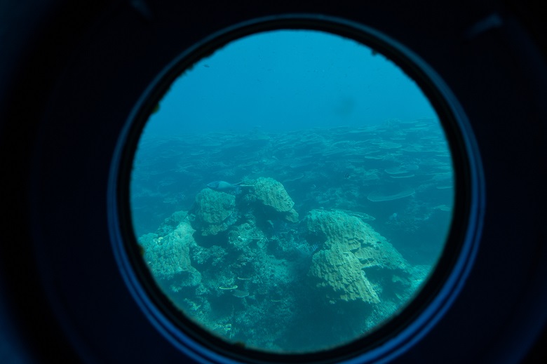 ブセナ海中公園