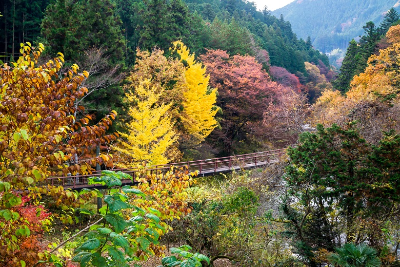 秋川渓谷・石舟橋付近