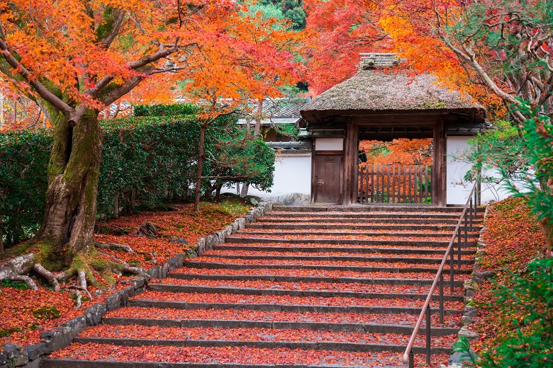 安楽寺