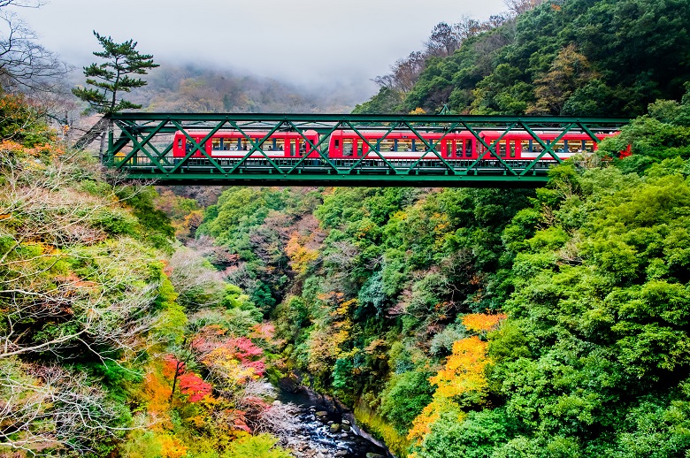 箱根登山鉄道と紅葉