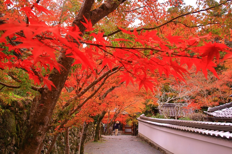 高槻市・神峯山寺