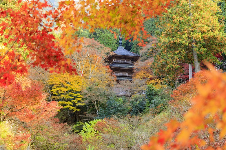 高源寺