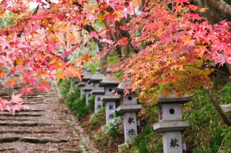 胡宮神社