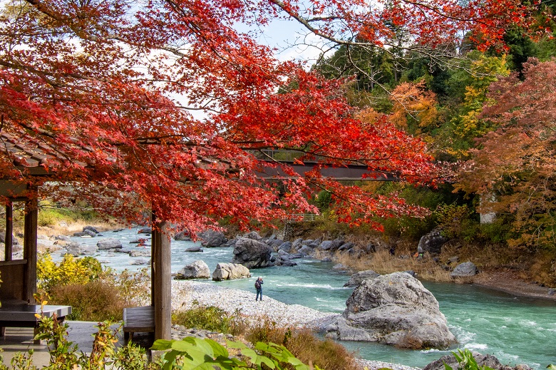 御岳山の紅葉