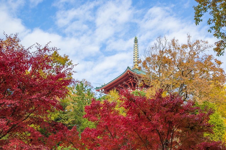 成田山公園の紅葉