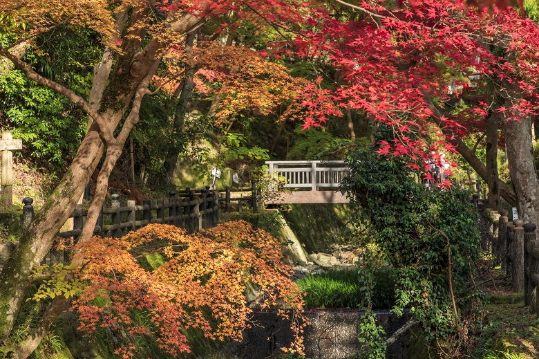 根来寺