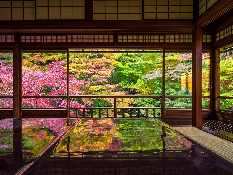 京都・瑠璃光院