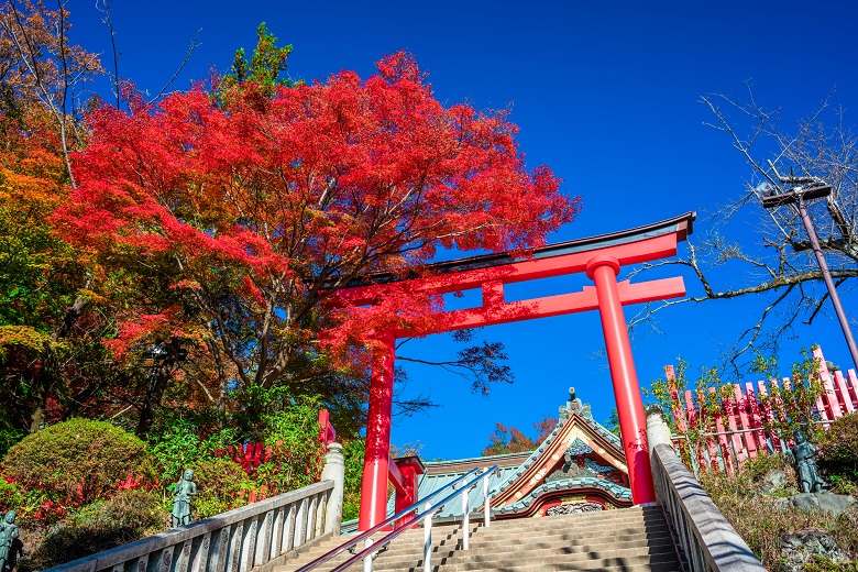 高尾山薬王院の紅葉