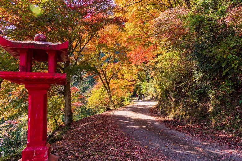 飯能市・鳥居観音の紅葉