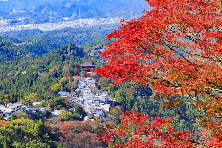 吉野山の紅葉