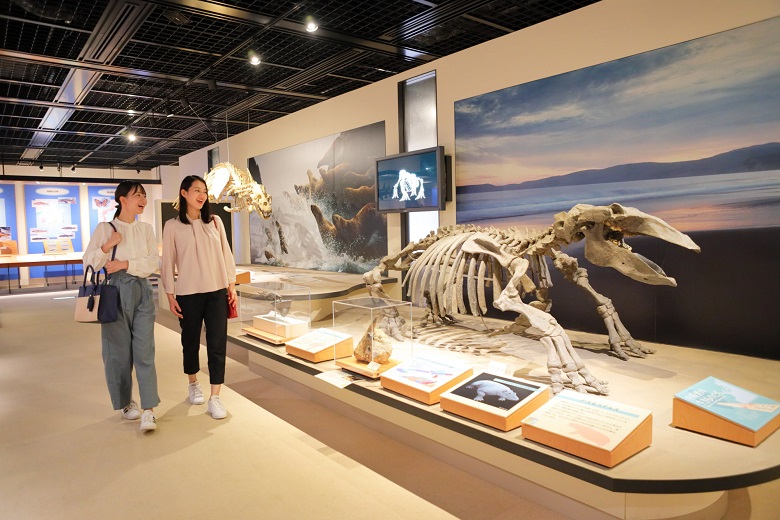 島根県立三瓶自然館サヒメル（写真提供：島根県観光連盟）