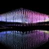 【関東】1月～2月グループ団体旅行でおすすめの冬イベント・お祭り・イルミネーション