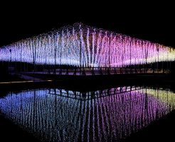 2023年冬の団体旅行先に！足利フラワーパークのイルミネーション
