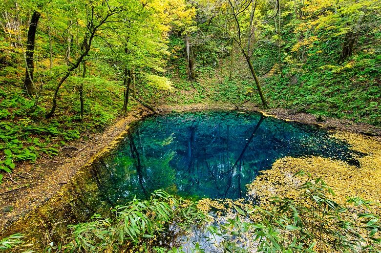 青森県 紅葉の白神山地　～十二湖・青池～