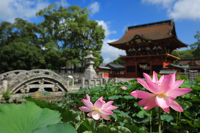 伊賀八幡宮