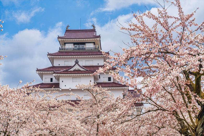 会津若松の鶴ケ城・若松城は、団体旅行先としても人気です。特に、春の桜の季節はおすすめ。