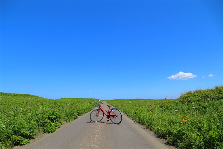 自転車合宿におすすめ先・北海道。広大な地平線は北海道ならでは