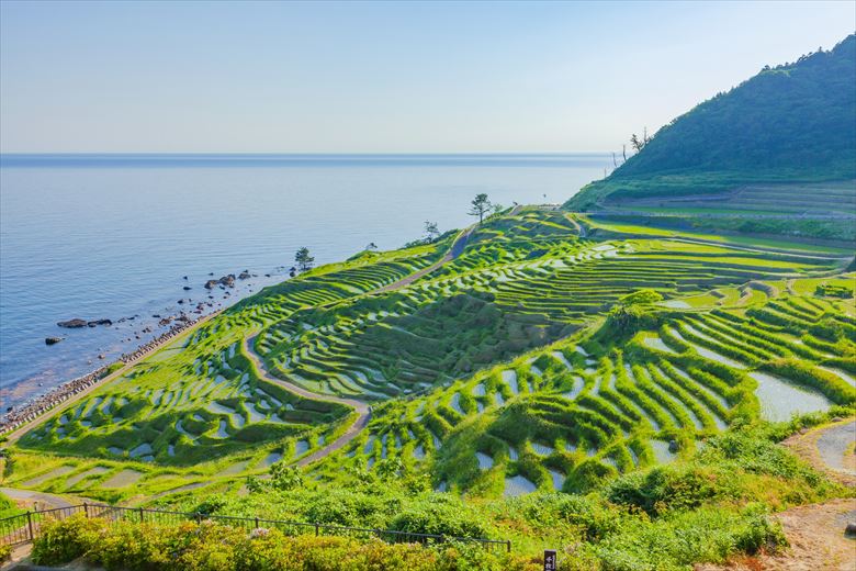 能登半島・外浦の海岸線沿いを自転車でライドすると、有名な千枚田の絶景が見られます。自転車合宿先におすすめです