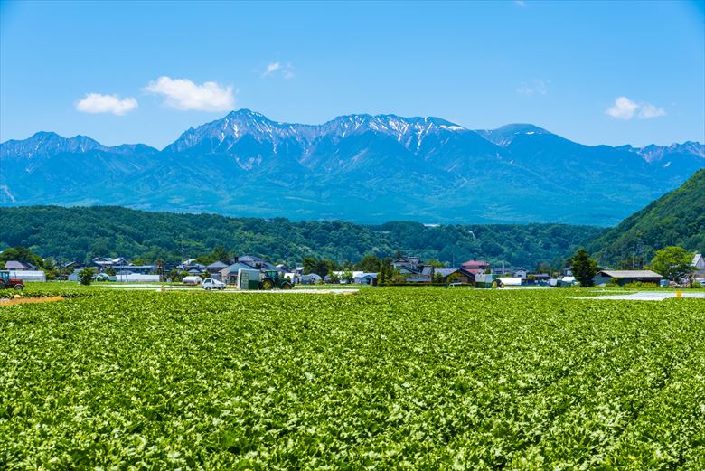 演劇部の合宿候補地としておすすめなのが、長野・野辺山、佐久、小海エリアです