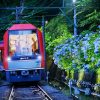 【2023年】箱根あじさい電車「夜のあじさい号」を4年ぶりに運行！6月のグループ旅行は箱根へ