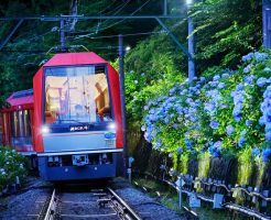 箱根登山鉄道「夜のあじさい号」が運行