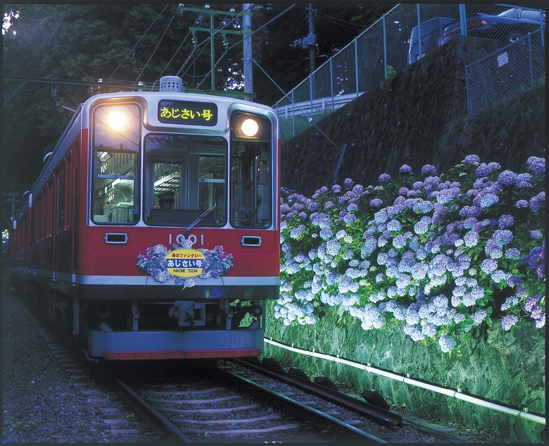 箱根登山鉄道・ベルニナ号