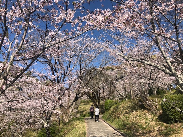 蛇ヶ谷公園