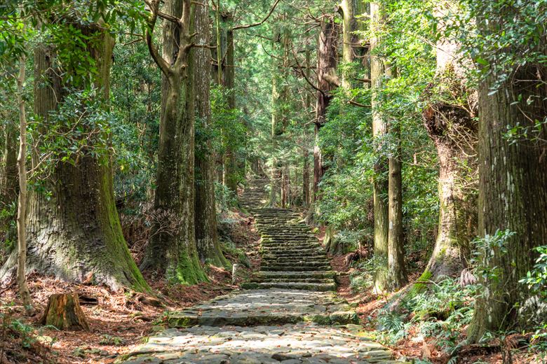 古代史・民俗学好きが多いなら、熊野古道をハイクするのもいいでしょう。