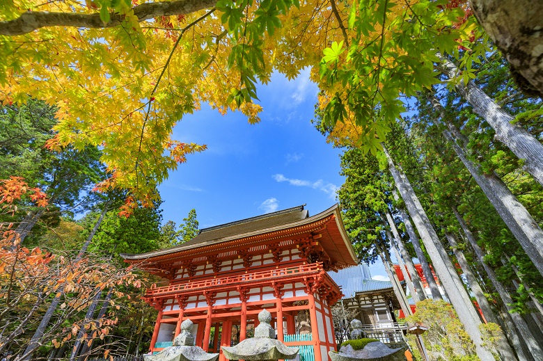 高野山