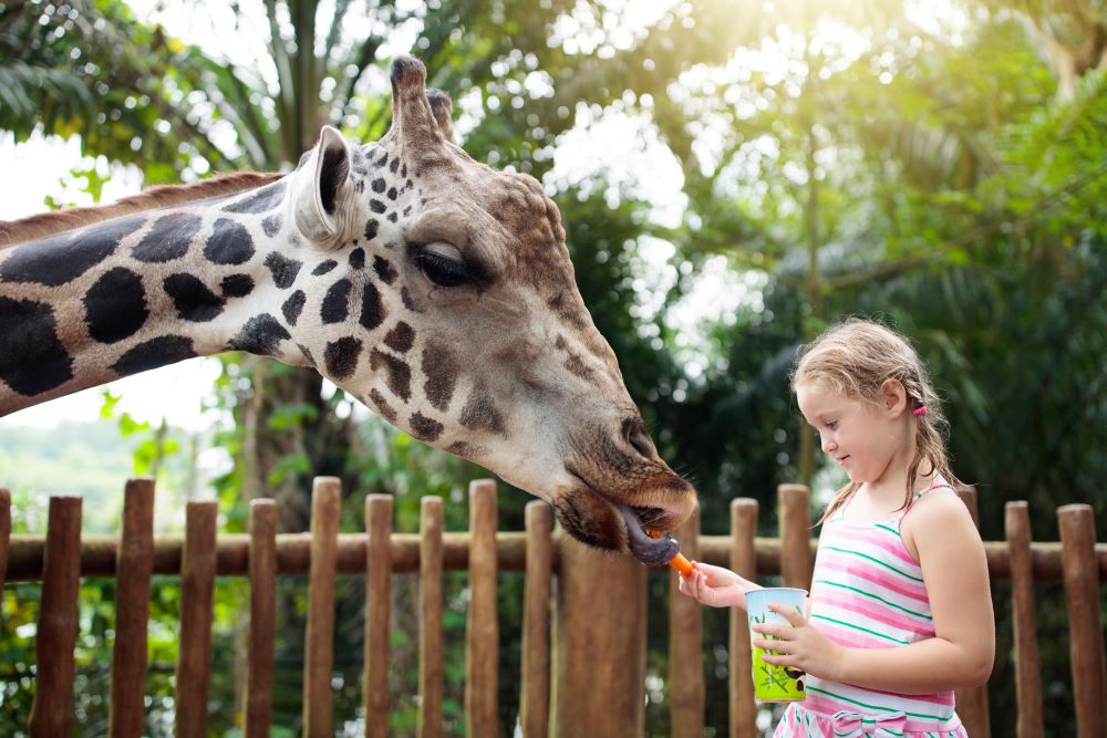 シンガポール動物園