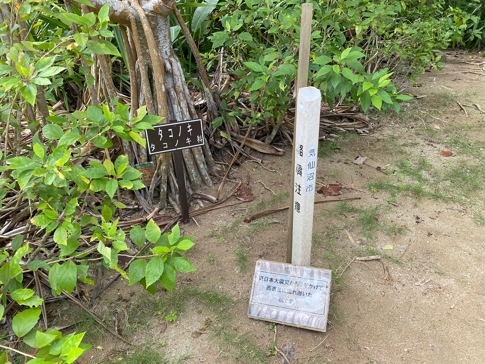 気仙沼から流れ着いたサインも