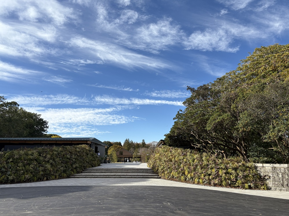 THE BOTANICAL RESORT 林音