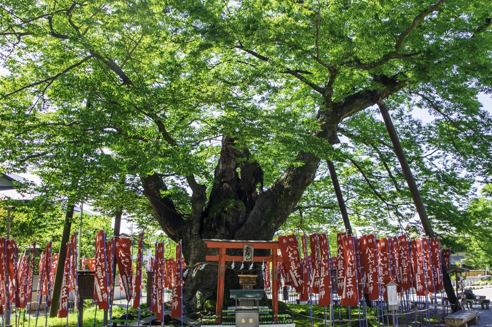 秩父今宮神社