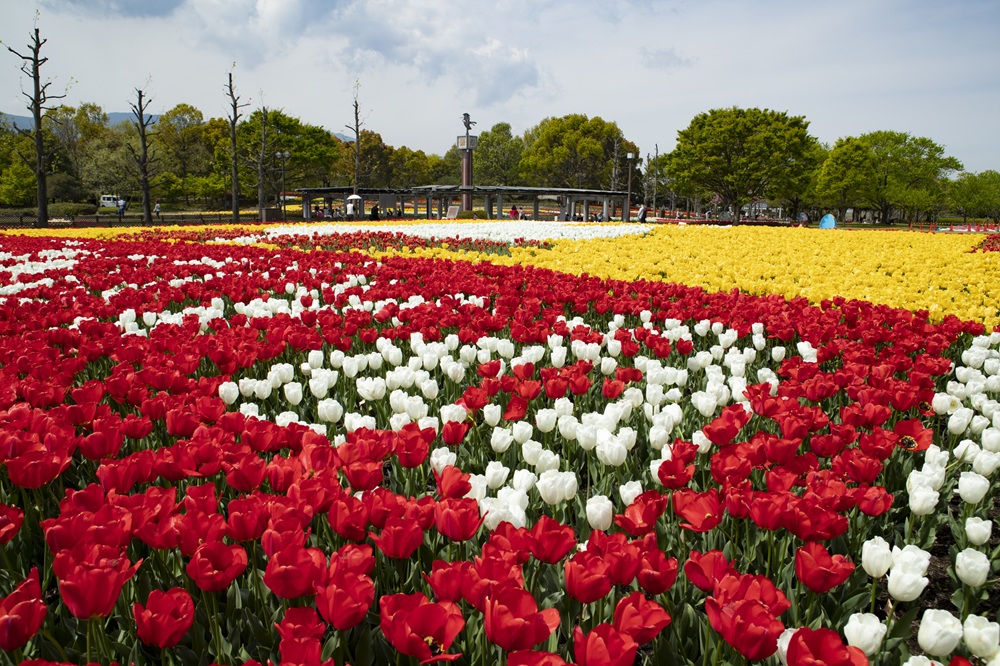 「木曽三川公園」