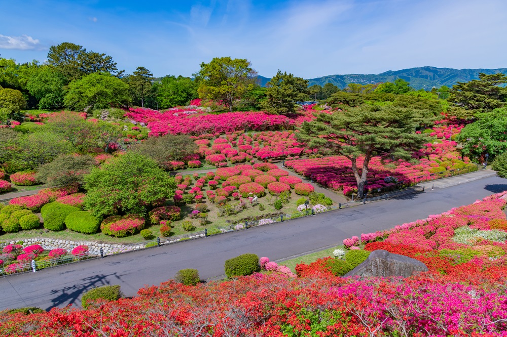 小室山公園