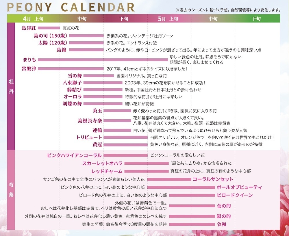 牡丹の開花スケジュール
