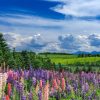 団体・グループ旅行で6月に行くべき、おすすめの行き先＆観光スポット特集【北海道・東北編】