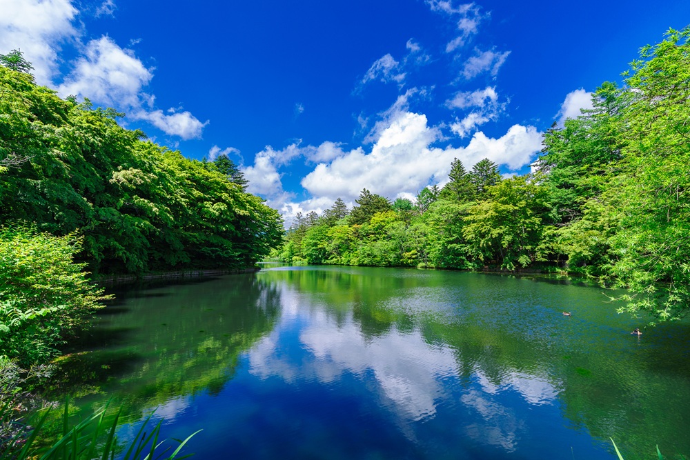 軽井沢