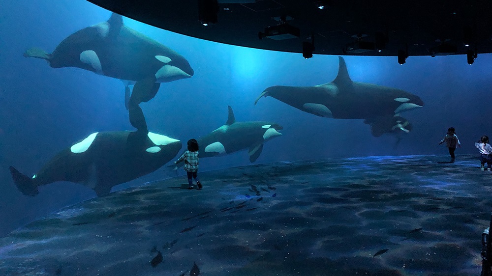 都市型水族館「AOAO SAPPORO」