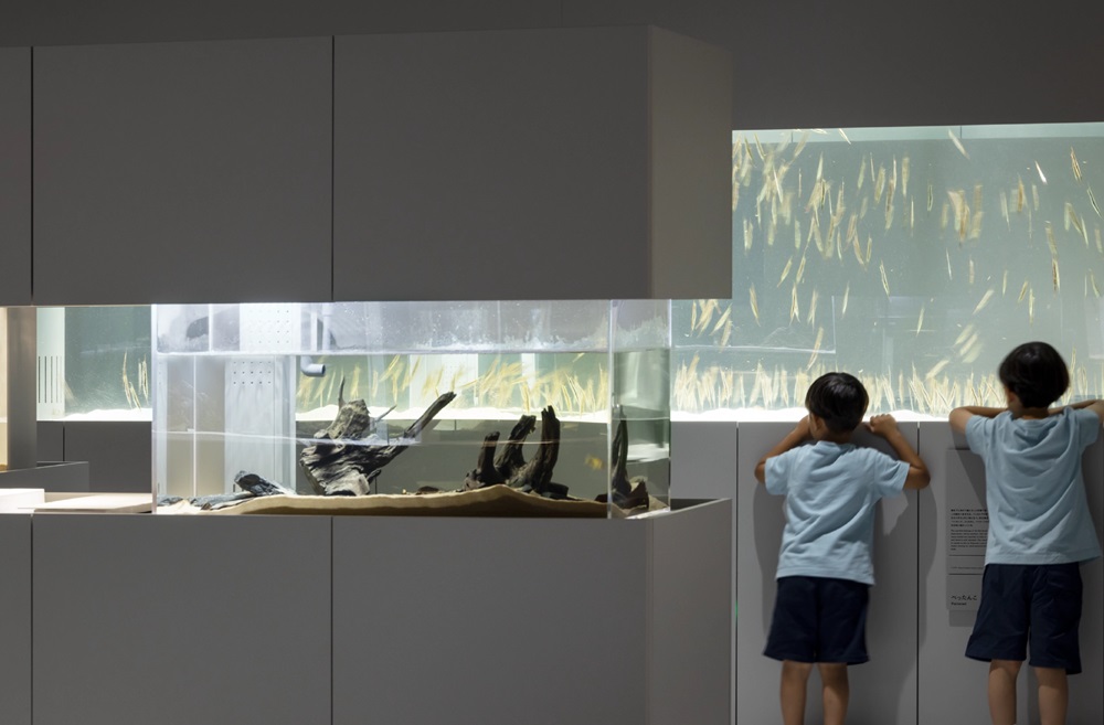 LIBRARY AQUARIUM／観察と発見の部屋