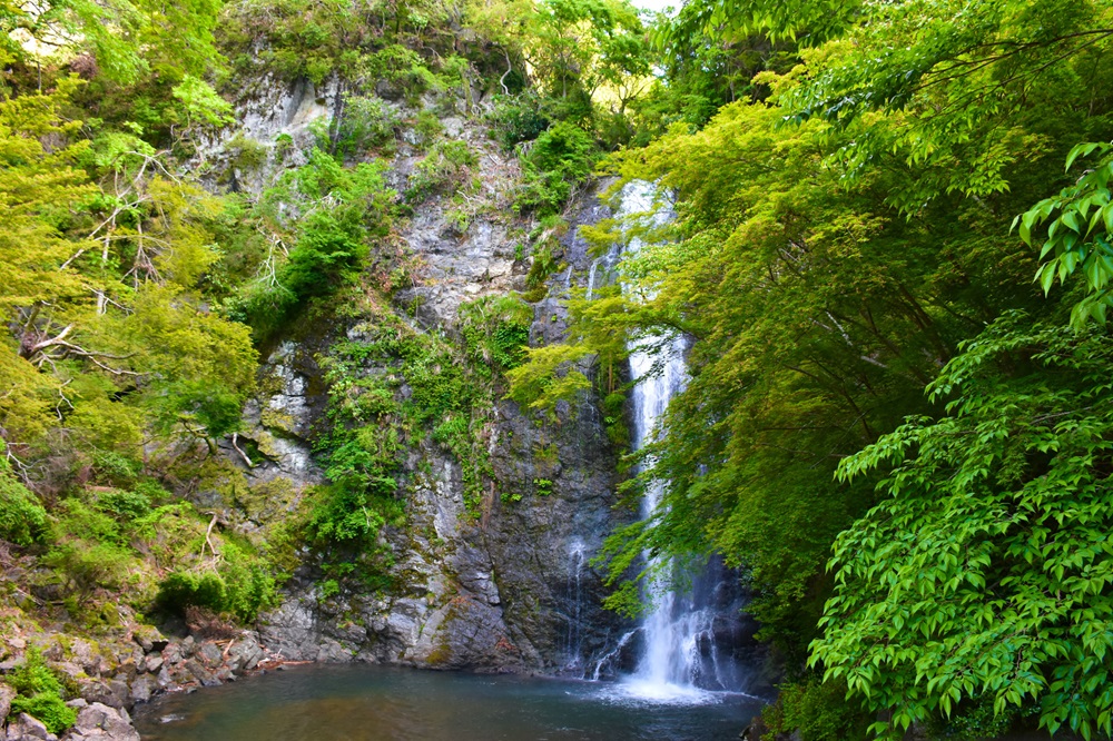 新緑の箕面大滝