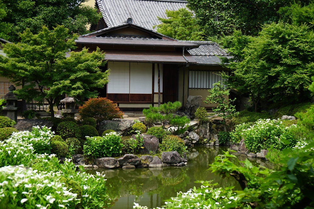 両足院の特別拝観・半夏生