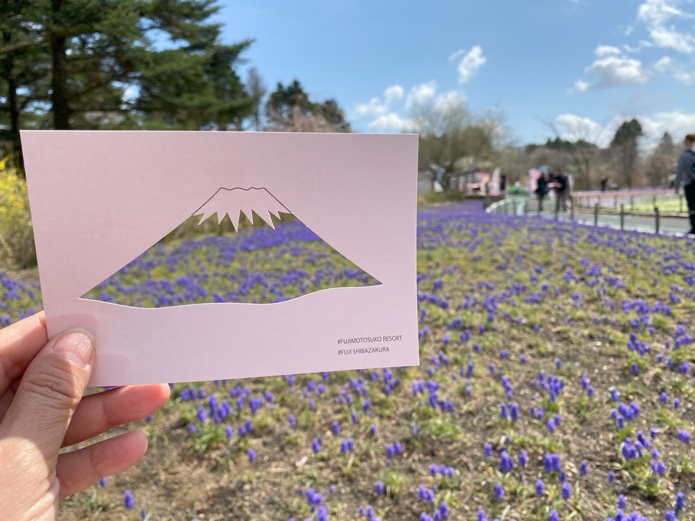 富士山のフォトフレームカード