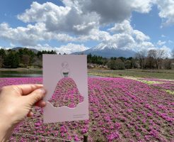 富士芝桜まつり