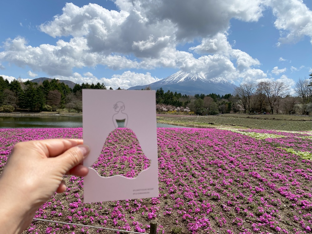 富士芝桜まつり2024　5月26日まで開催中