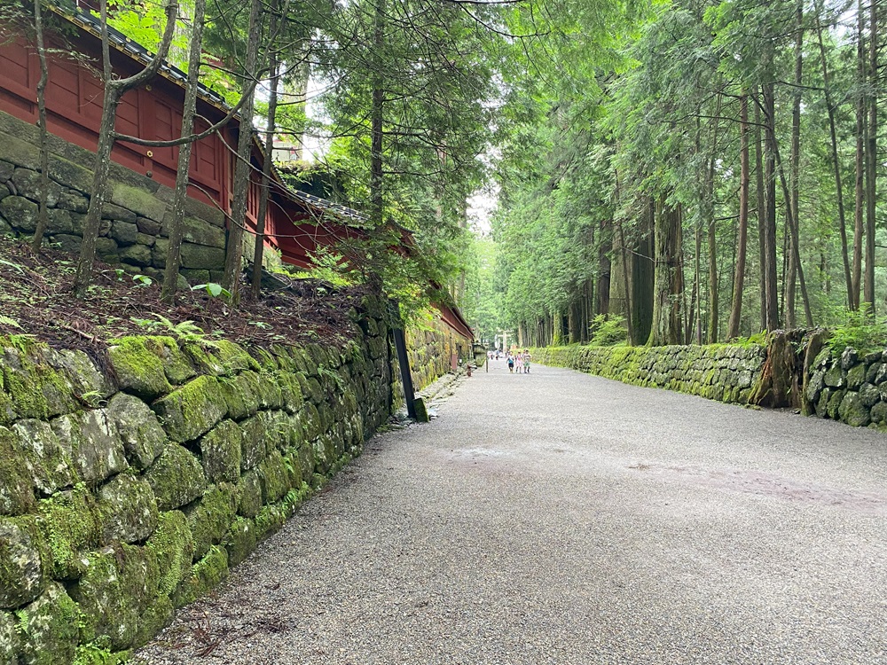 日光